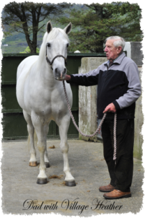 Dad with Village Heather